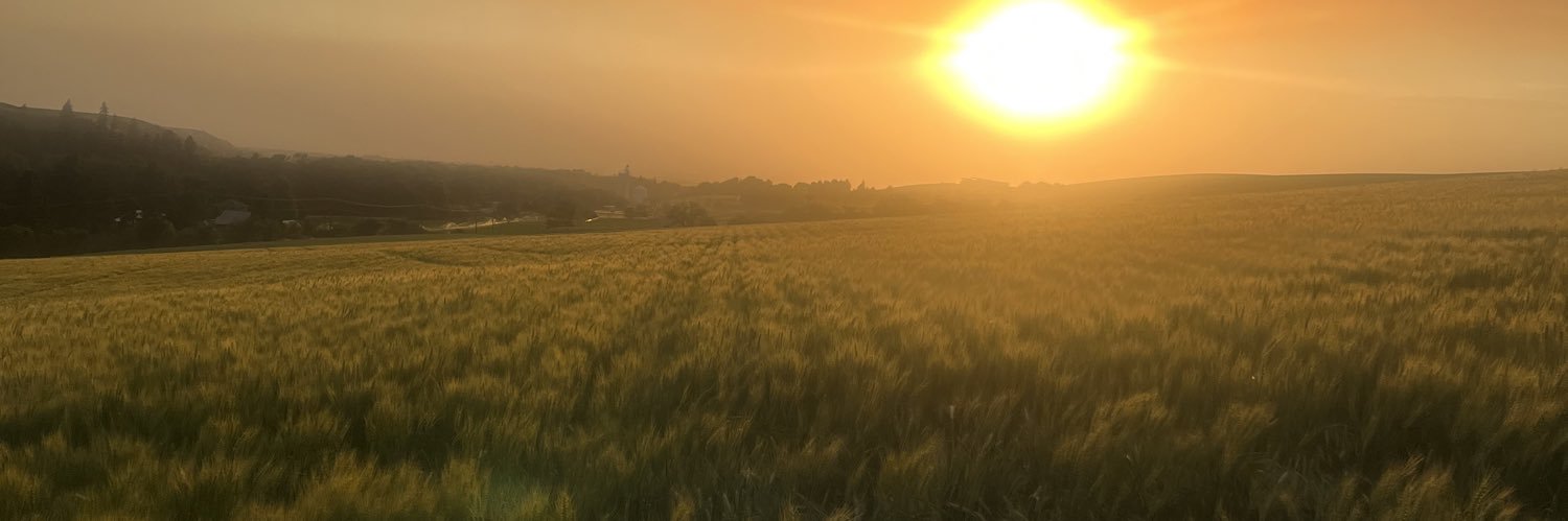 jamesblyin's profile banner image