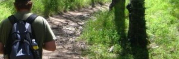 _frozen Profile Banner