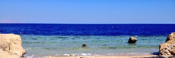 callum_train Profile Banner