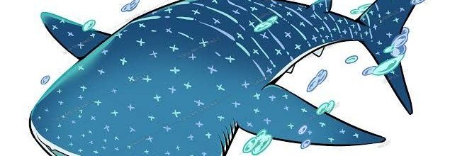 CreviceCrevasze's profile banner image
