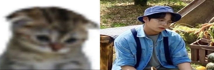 fluveryskiii 📌Freebies Pulse on Jakarta banner