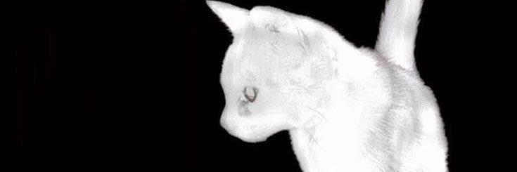 nanasn0's profile banner image
