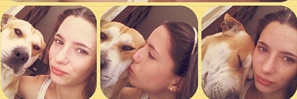 Pecas ® banner
