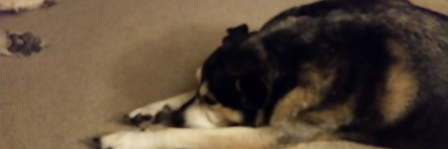 Iv0ryW0lf's profile banner image