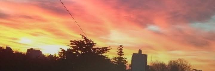 ღPipi banner