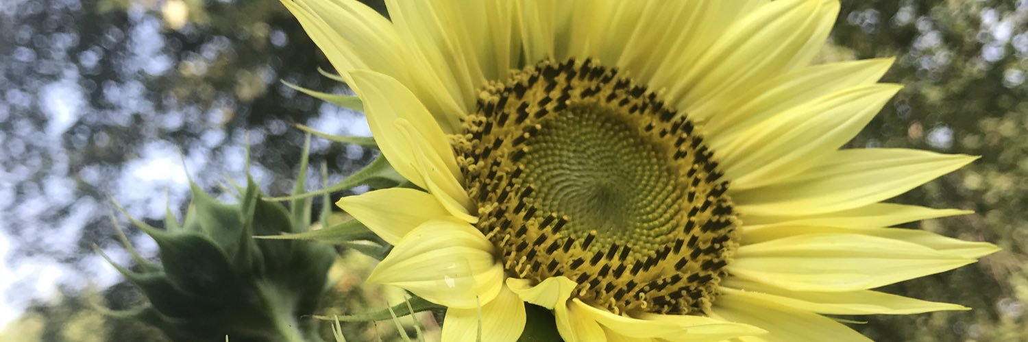 David G 𓅃 🐦 🪺 banner