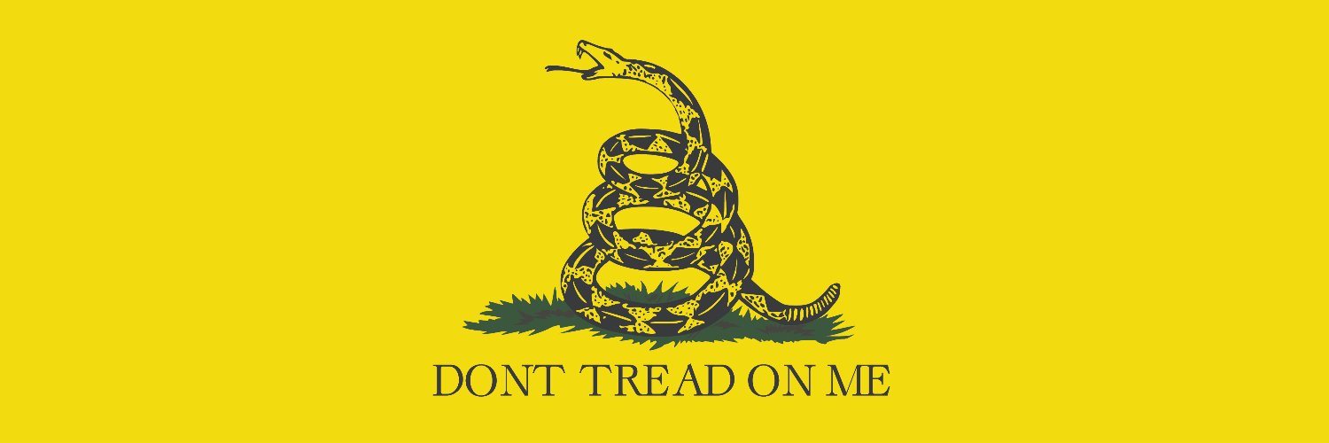 Serbian Libertarian 🟨⬛ banner