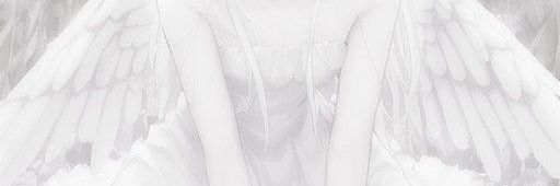 .𖥔 ݁ ˖╭ ┆Maxi ╰⊹ ࣪ banner