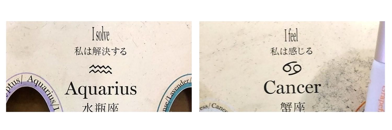 ꕤ banner