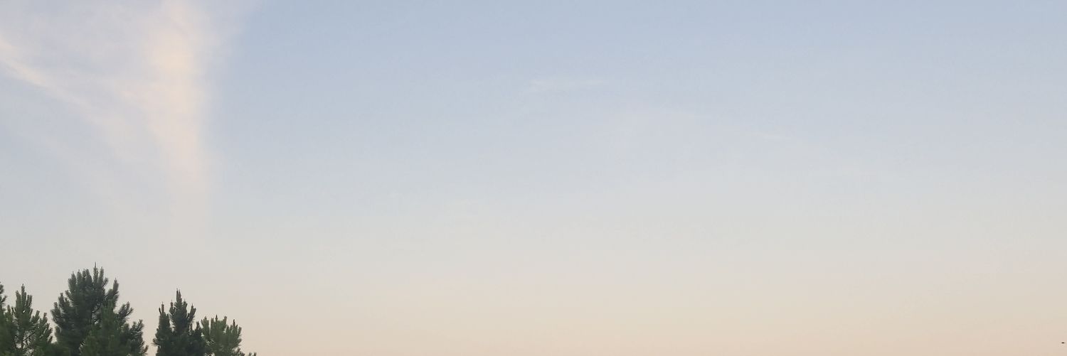 Valu banner