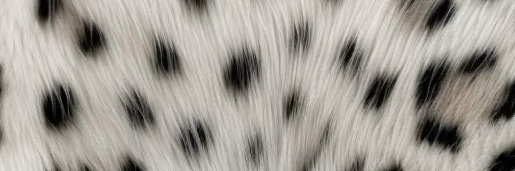 bberisiq's profile banner image