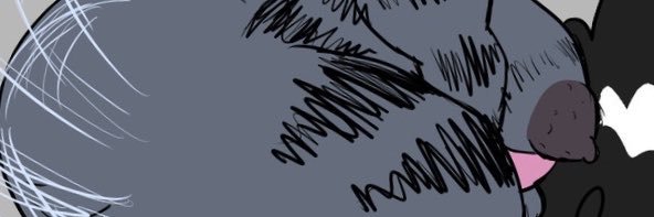grannyfreya's profile banner image