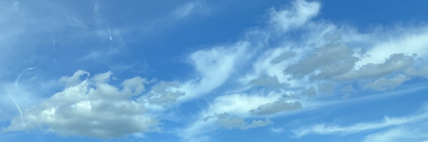 Thukuna217's profile banner image