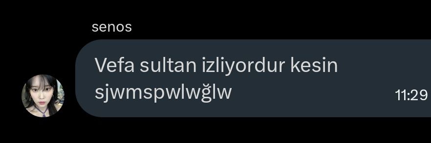 vefa1omur's profile banner image