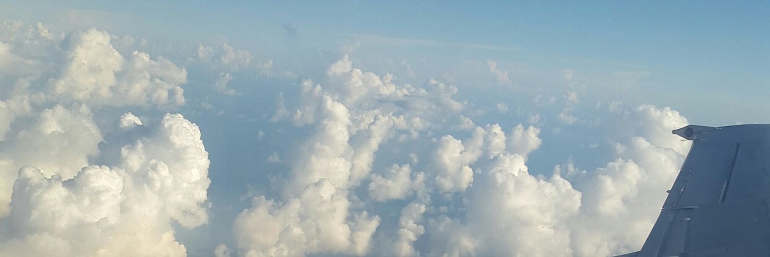 Nelsonflores__'s profile banner image