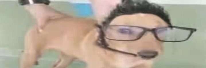 elmaviw's profile banner image