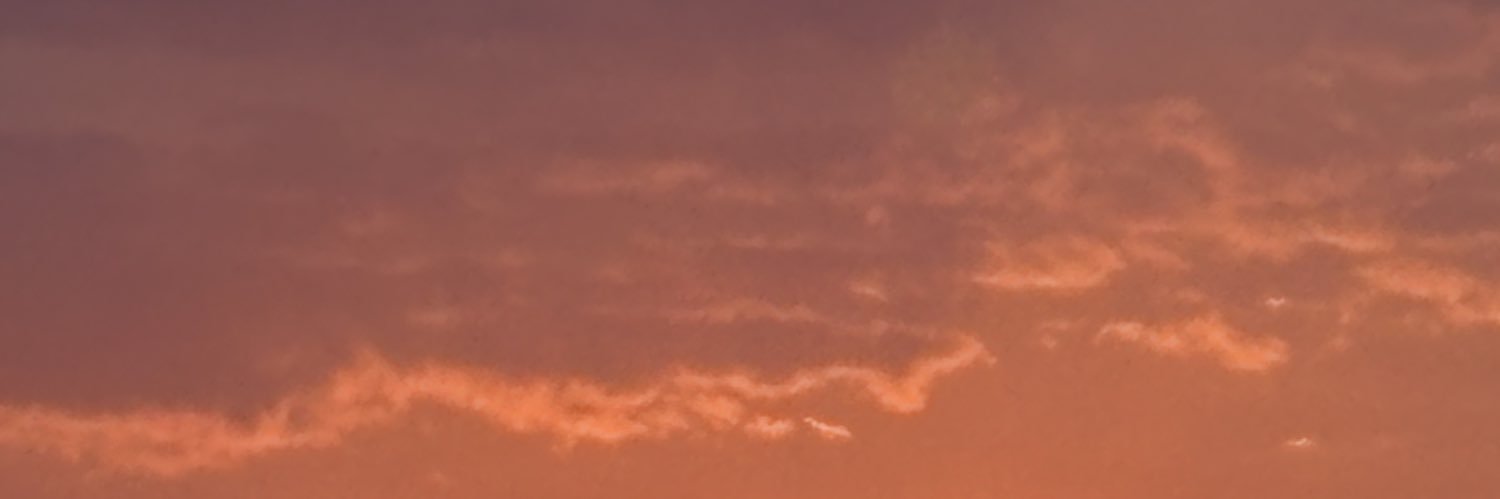 Rook the Torchic banner