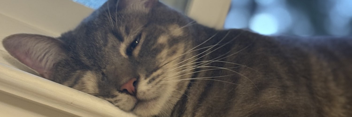 MOTAVATION_TTV's profile banner image