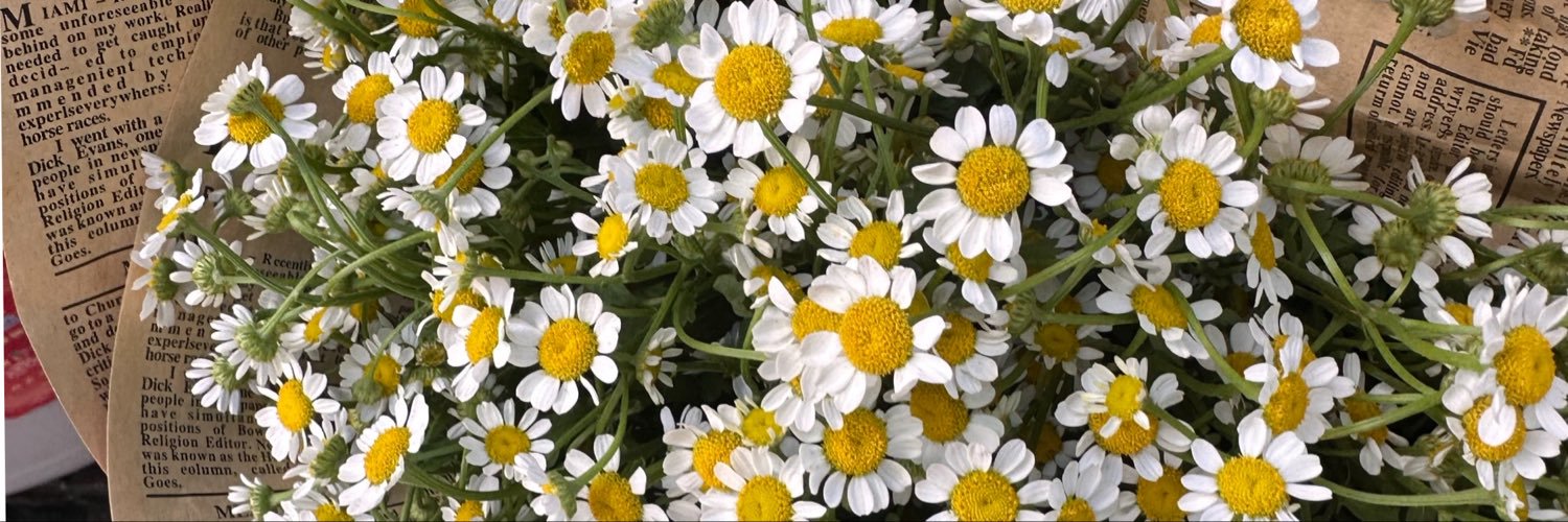bblsy540939's profile banner image