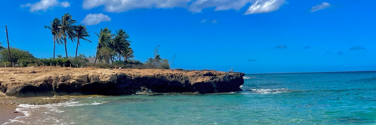teixeiramare's profile banner image