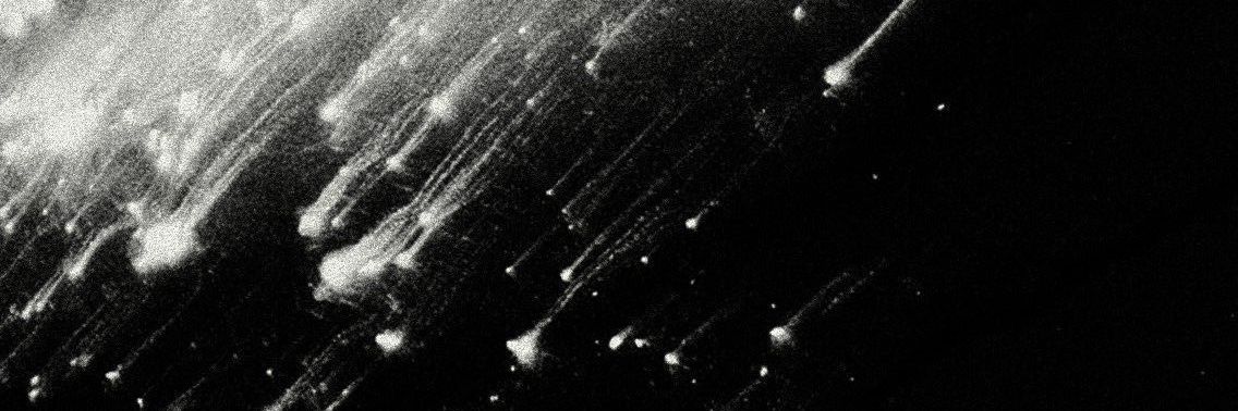 Salutant__'s profile banner image