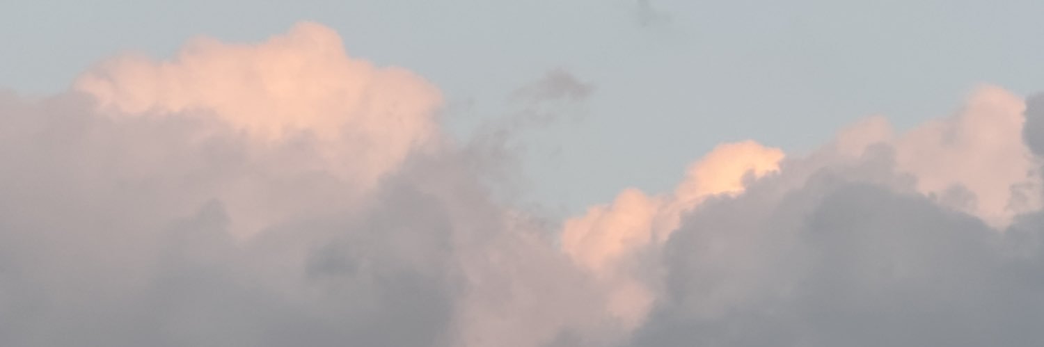 diary_of_maya's profile banner image