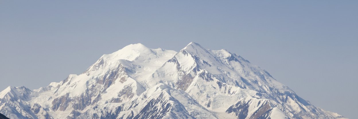 Denali Research banner