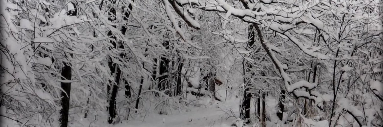 icecals's profile banner image