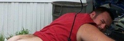 atum igual o peixe banner
