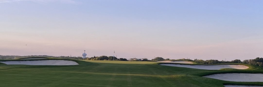 Richard (Rich) Beem banner