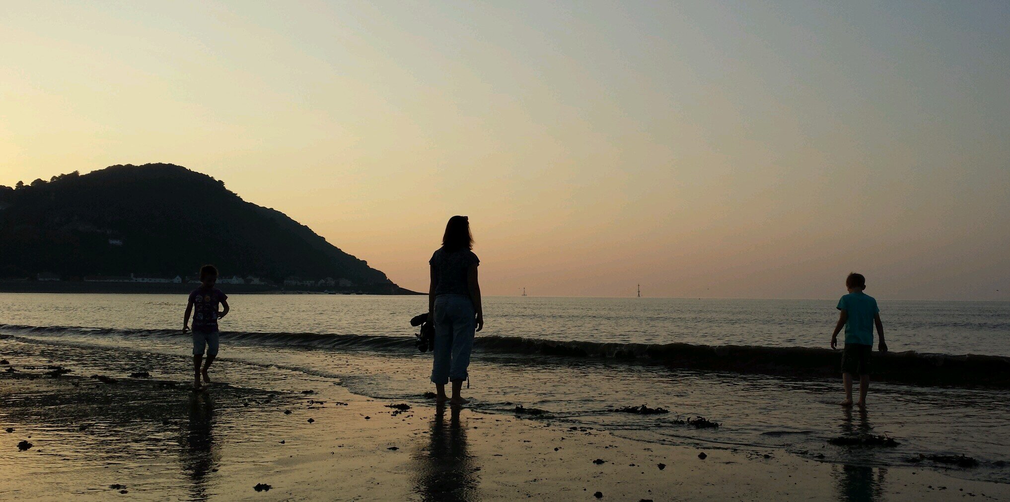 NatFree's profile banner image