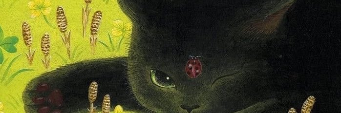__espiral's profile banner image
