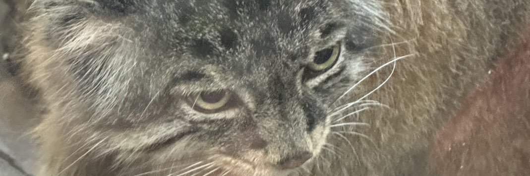 Dr Greta Speer BEng banner