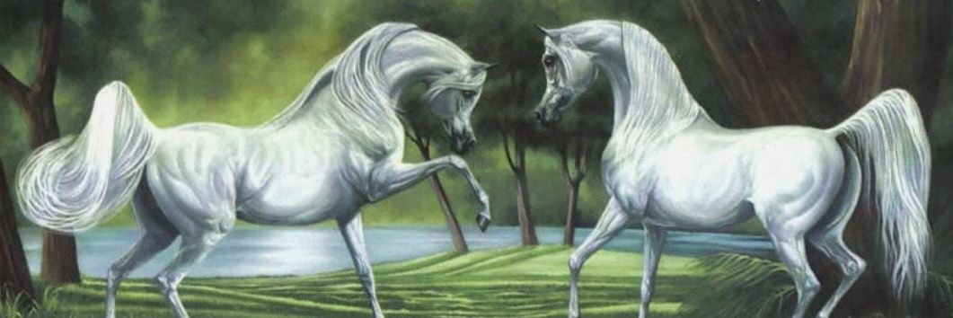 حاولت اجيبك banner