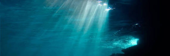 Bit the Hand that Fed Me banner