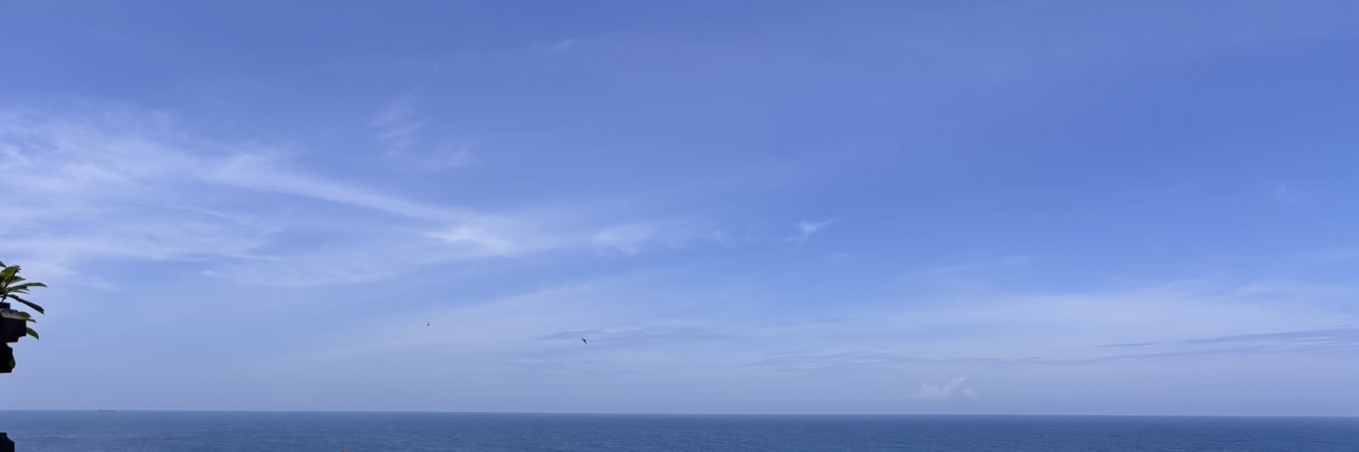 wingitaid's profile banner image