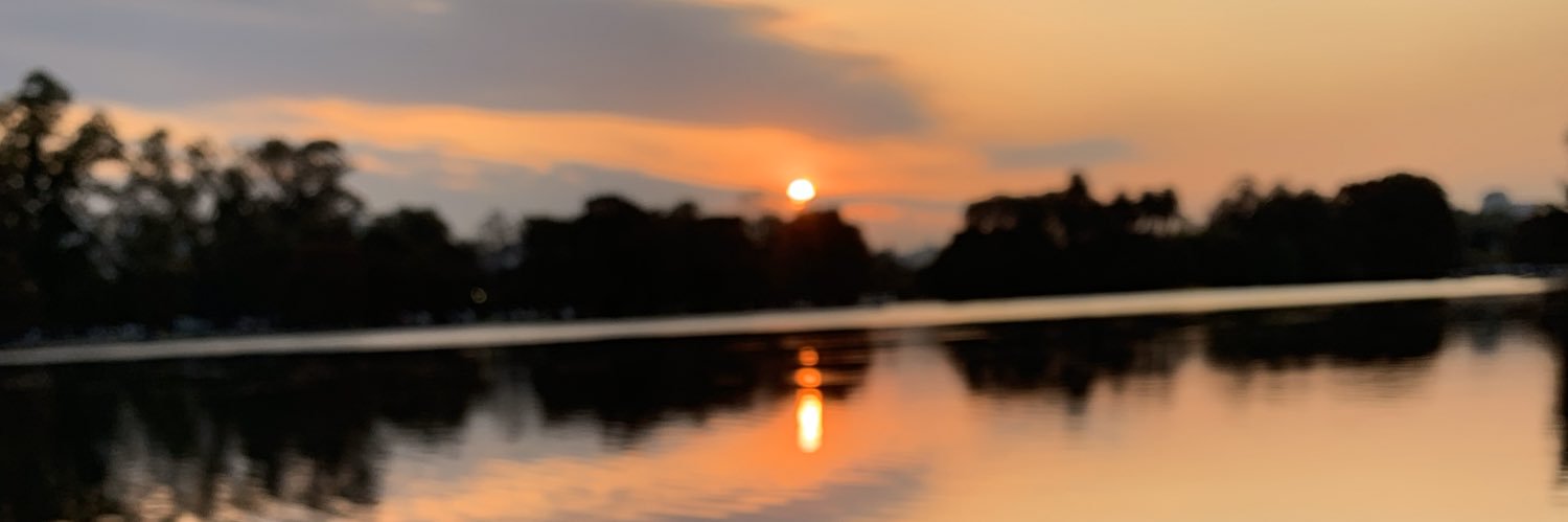 daniavruj's profile banner image