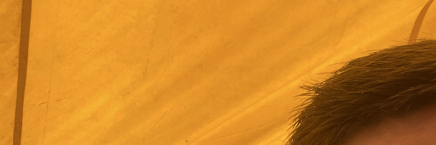 Ronerto Carlos banner