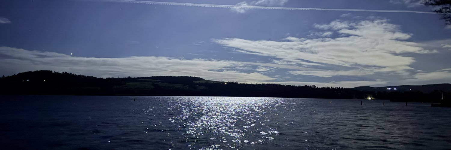 Nikki Morrison banner