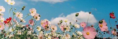 lrpmqtrmphdy's profile banner image
