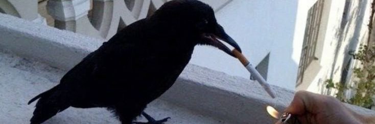 SabletheCrow 🪦 VTUBER banner