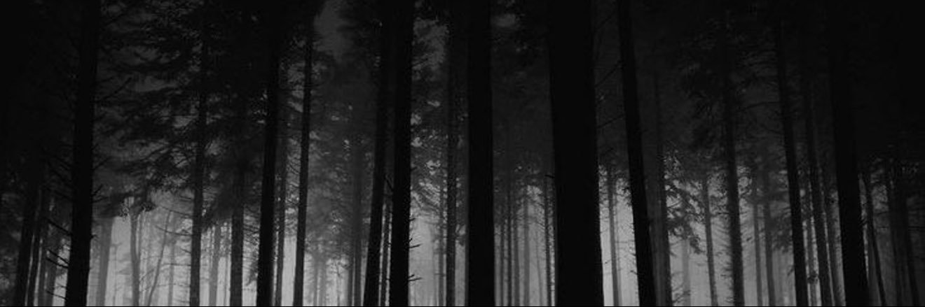 ilexore's profile banner image