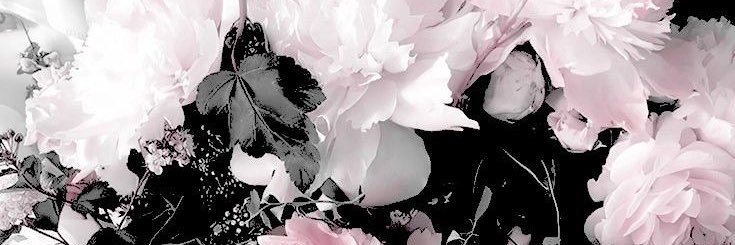 𝘛𝘢𝘨♥ banner