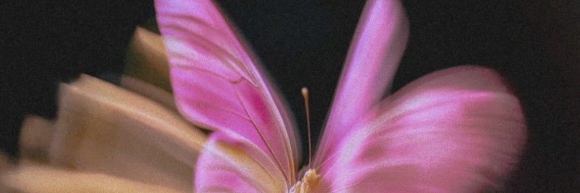letamhy's profile banner image