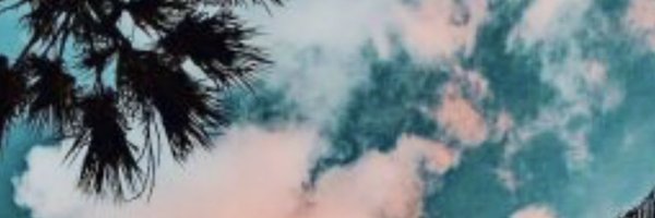 micaelaparrilla Profile Banner