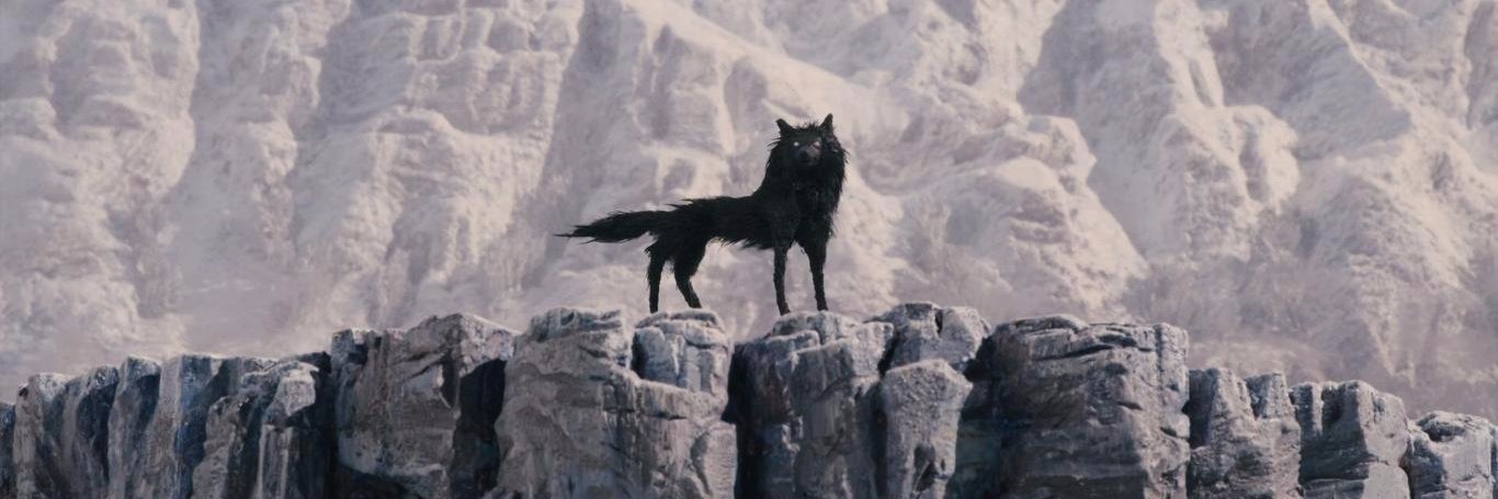 waltermatthaujr's profile banner image