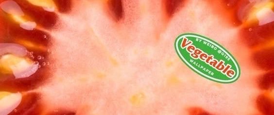ertry7241's profile banner image