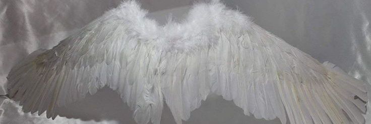 𝓝 ^᪲᪲᪲ ❴ -5/10kg ❵ ‏ banner