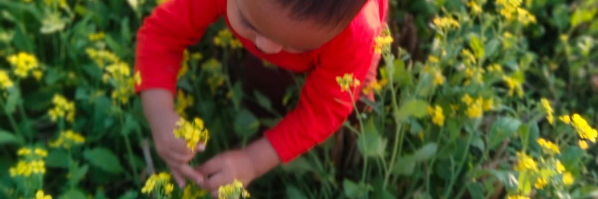 RCSYIS's profile banner image
