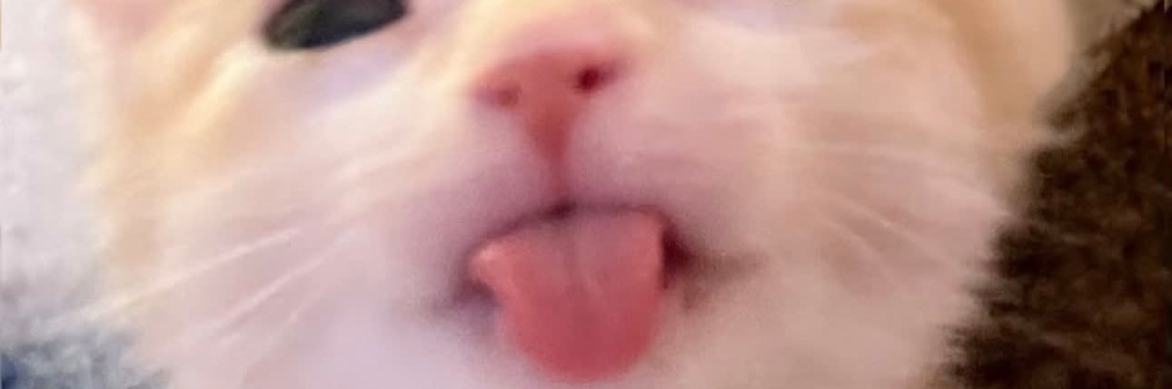 m banner